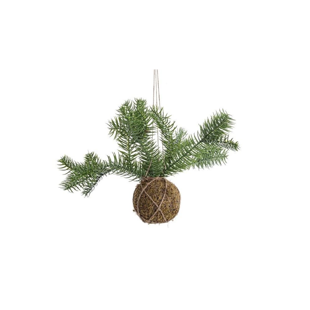 SFERA KOKEDAMA CON PINO D58 VE